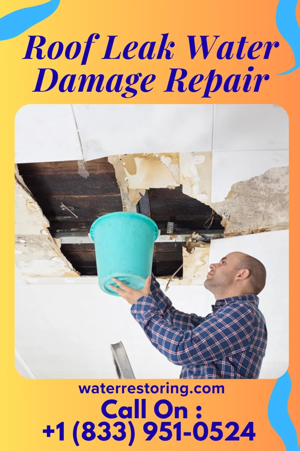 Roof Leak Water Damage Repair in Oak Grove, OK